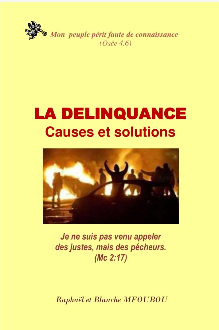 La délinquance, causes et solutions